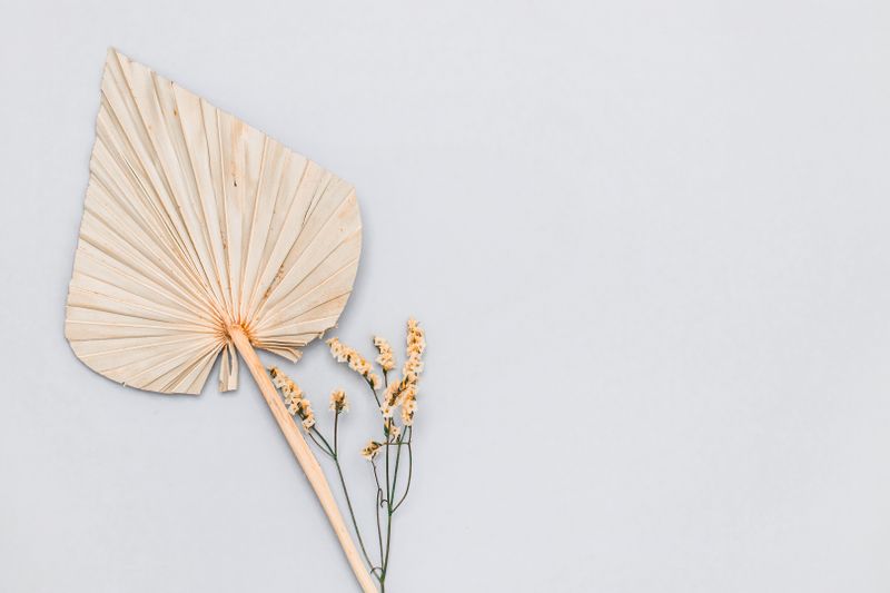 Composition florale moderne minimaliste — fleurs interflora