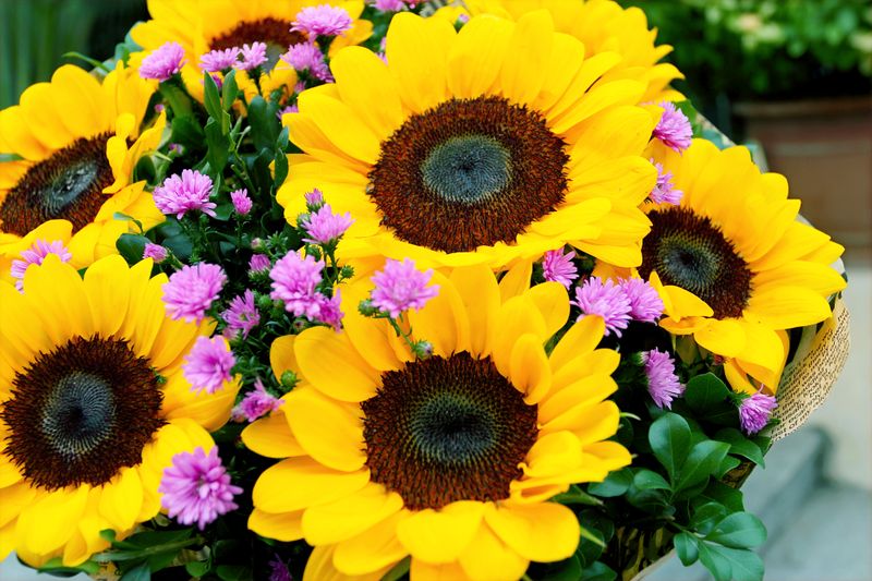 Bouquet estival tournesols et zinnia — interflora été