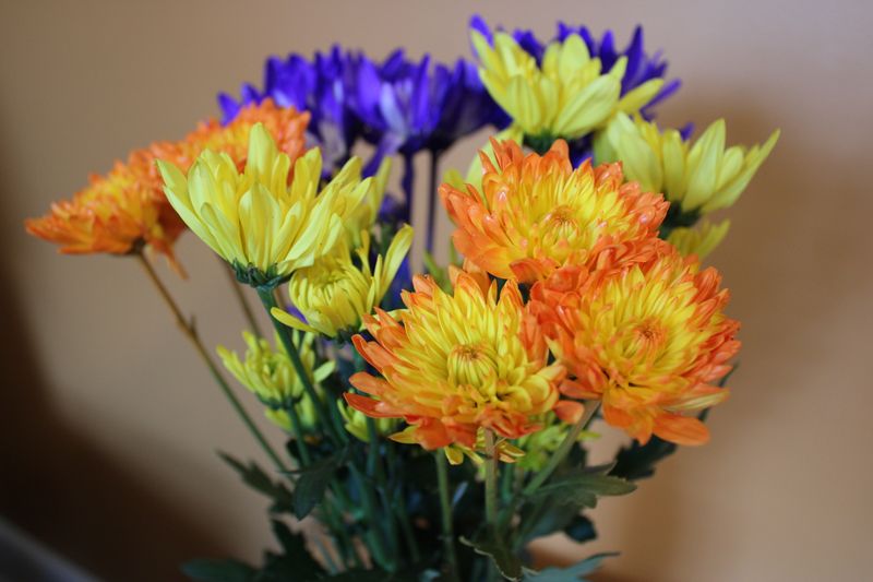 Bouquet floral moderne et coloré — commander des fleurs en France